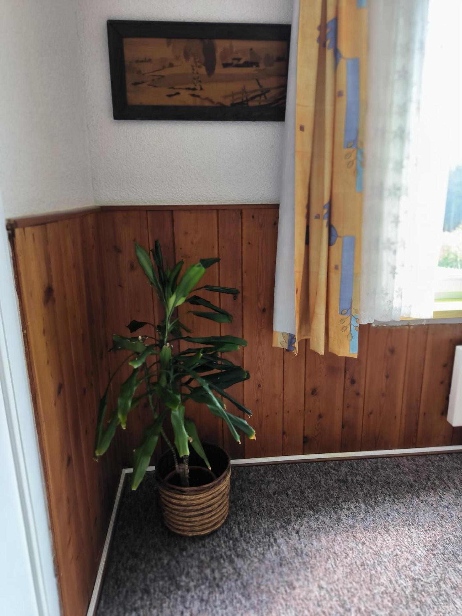 Chata Rybna 18 Pernink Exteriör bild
